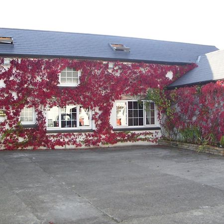 Townsend House Guest House Birr Kültér fotó